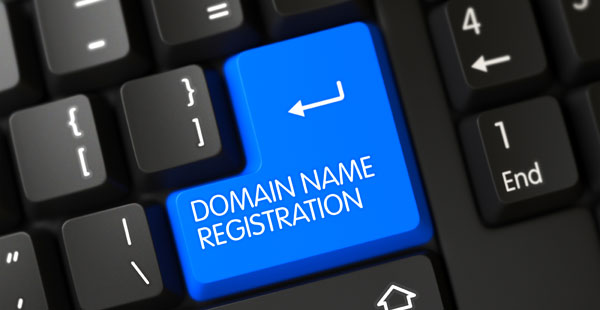 Domain Name Choice and Registration
